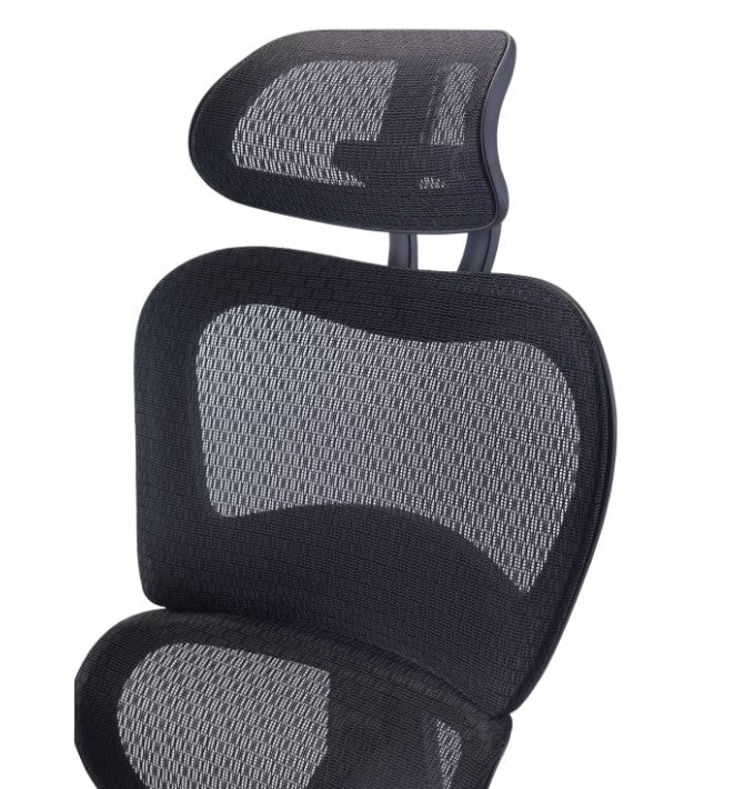 Chachi Mesh Office Chair 24HR & POSTURE TC Group