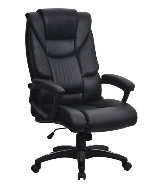 Titan Ergonomic Office Chair EXECUTIVE CHAIRS Nautilus Designs 