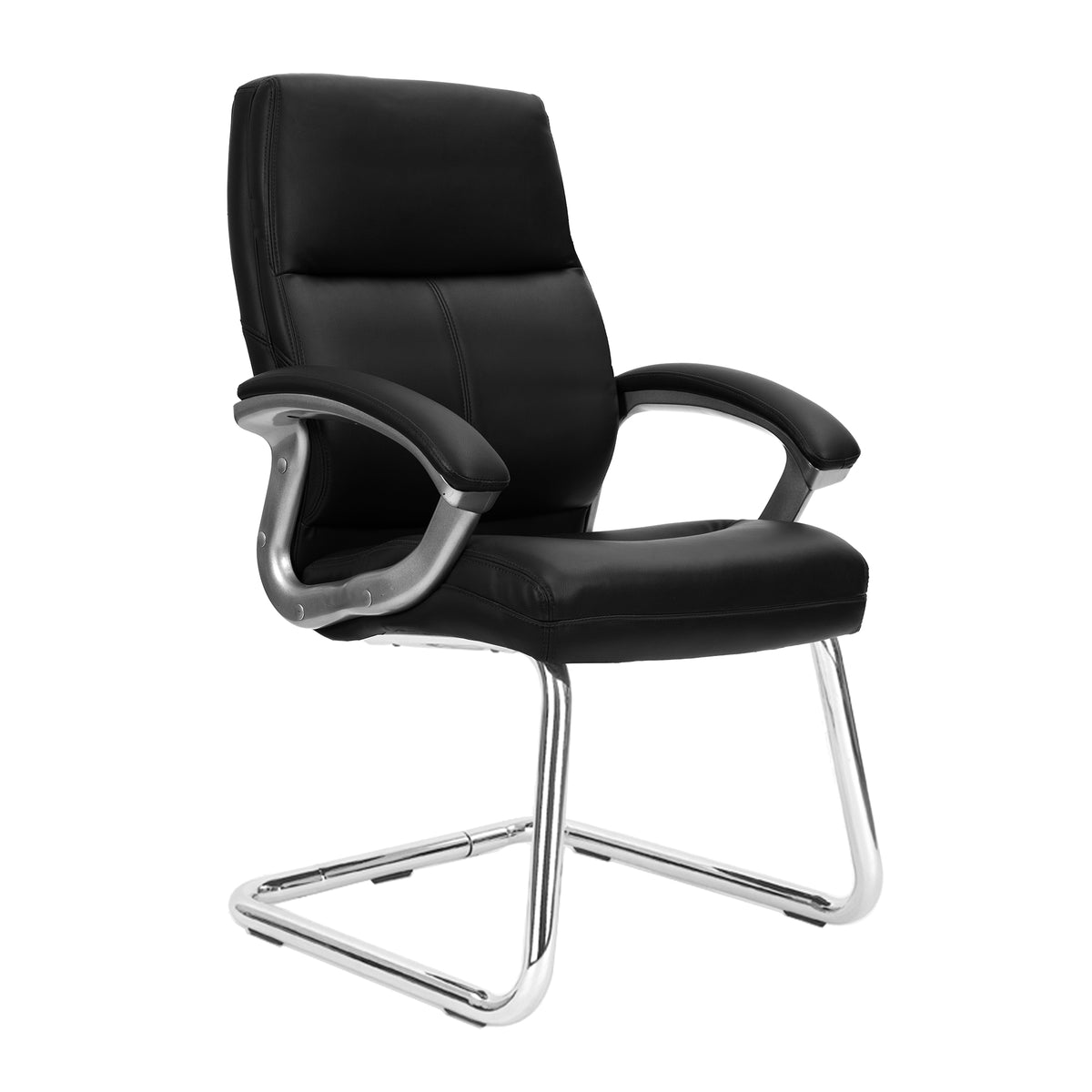 Meridian Leather Visitor Chair