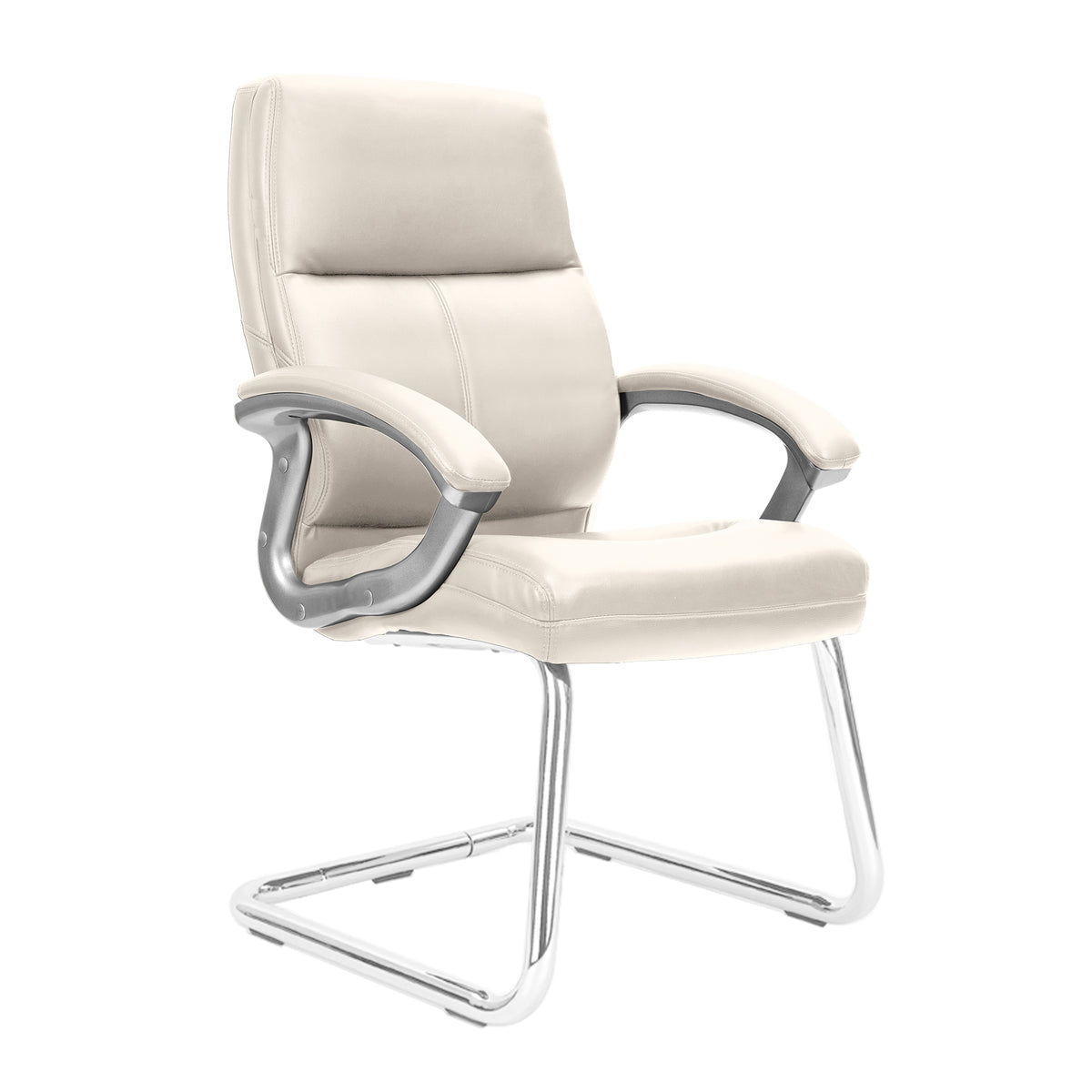 Meridian Leather Visitor Chair