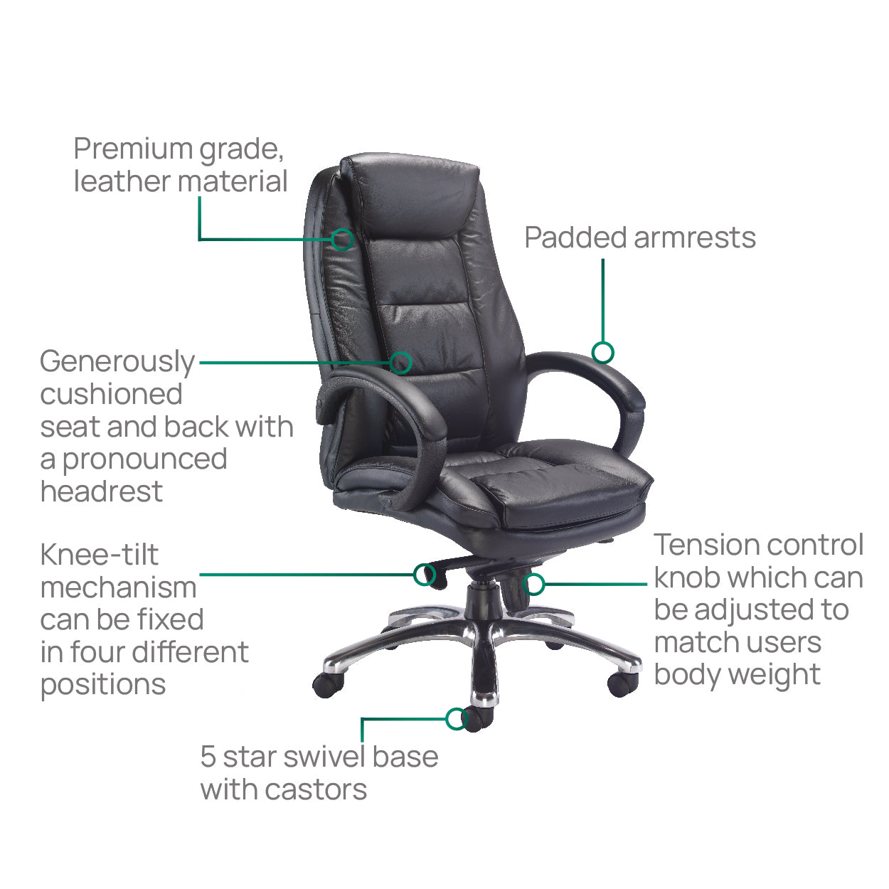 Product Highlights