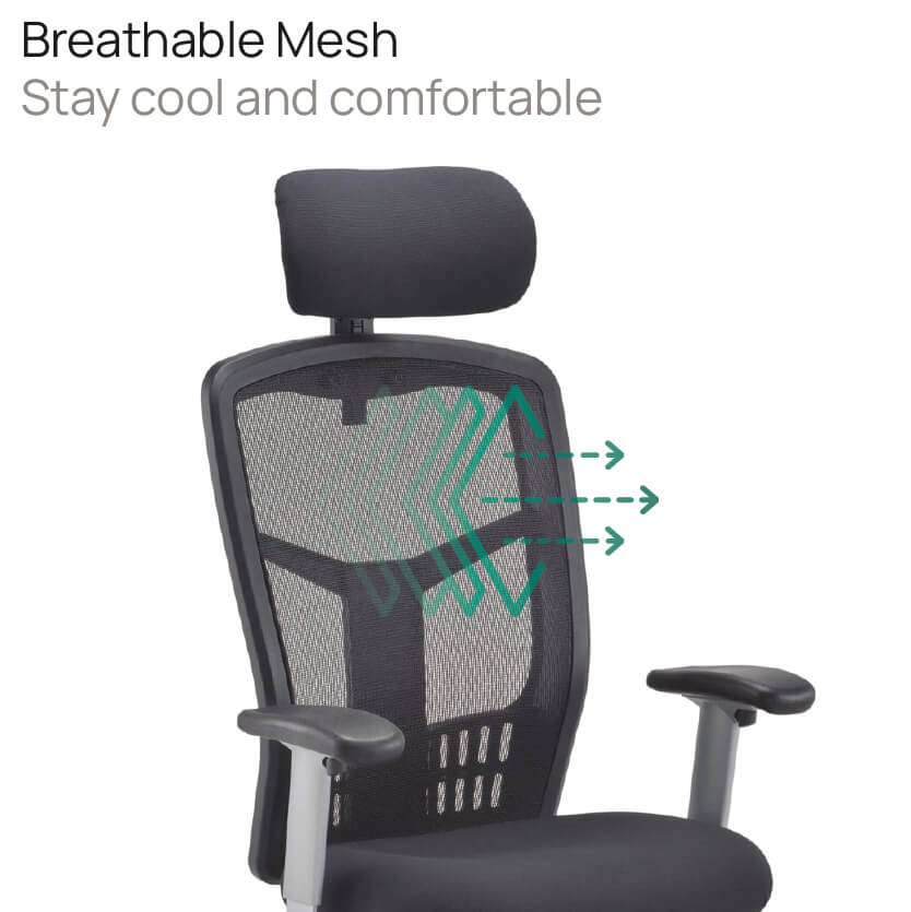 Product Highlights