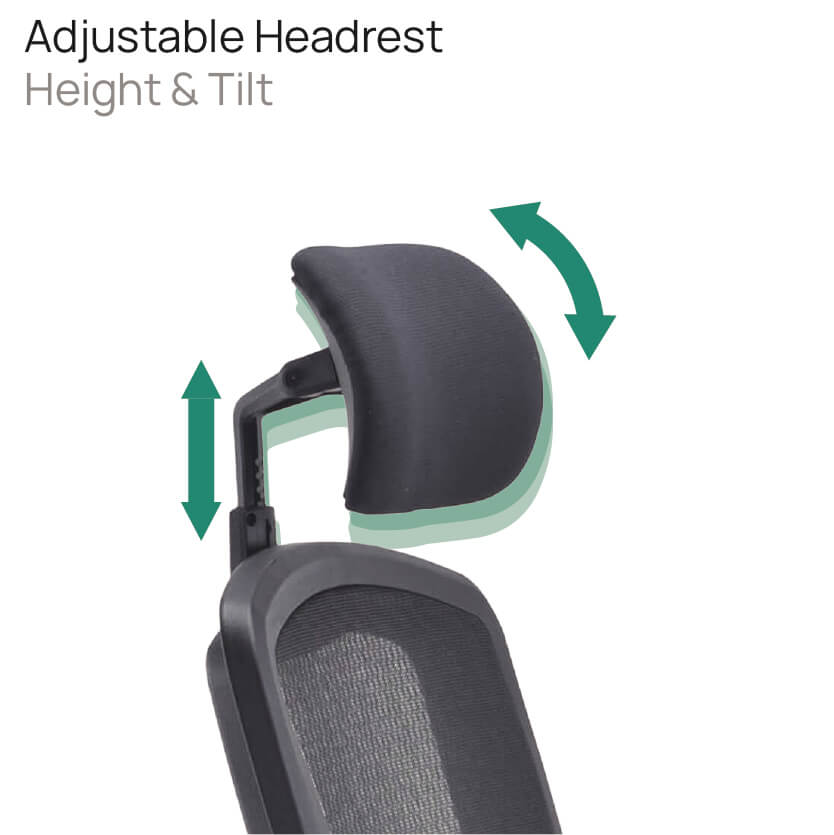Product Highlights