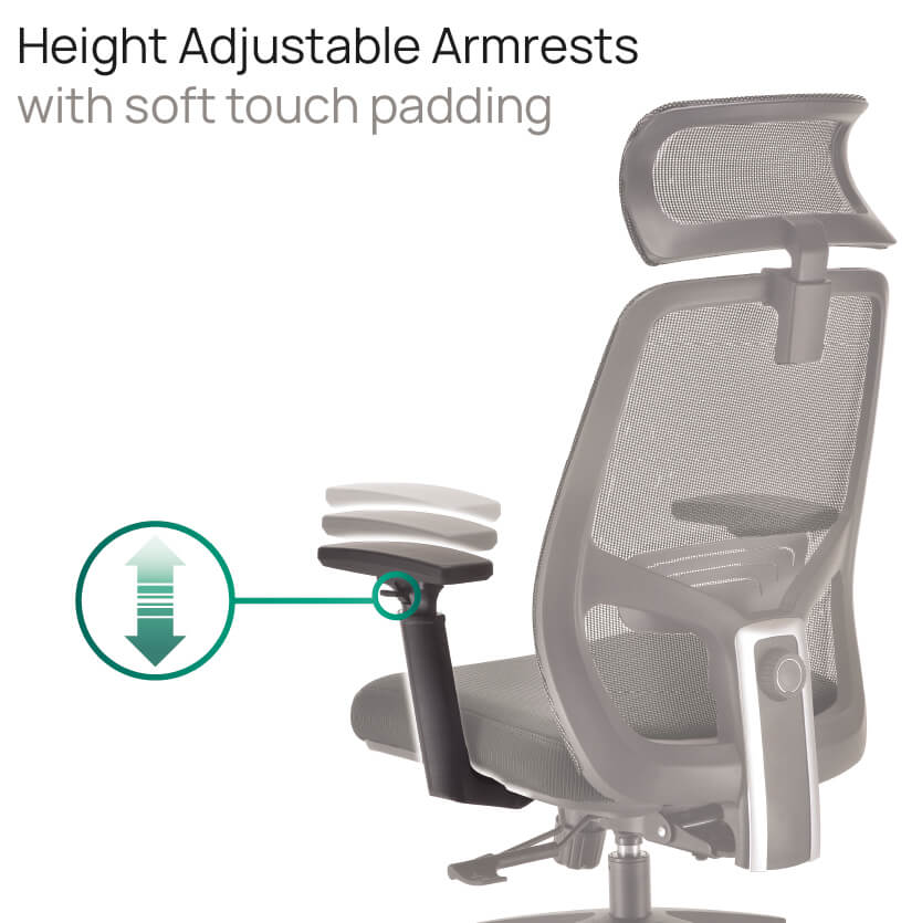 Product Highlights