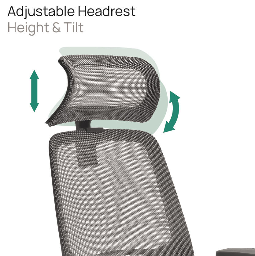 Product Highlights