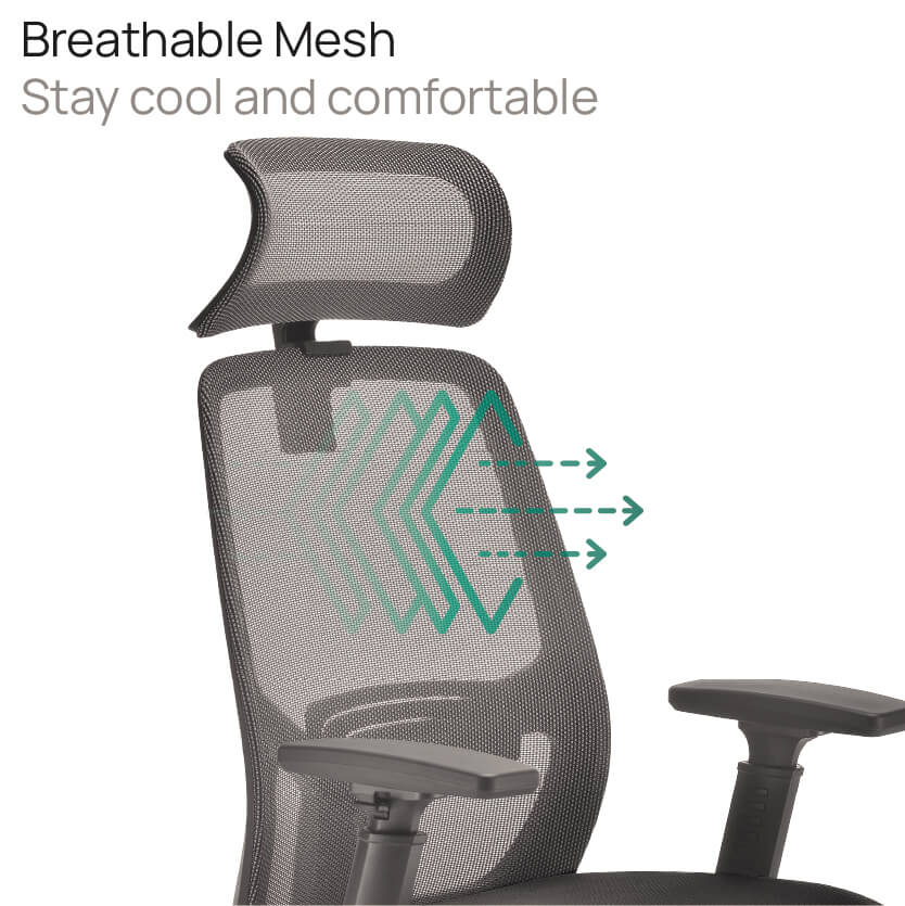 Product Highlights