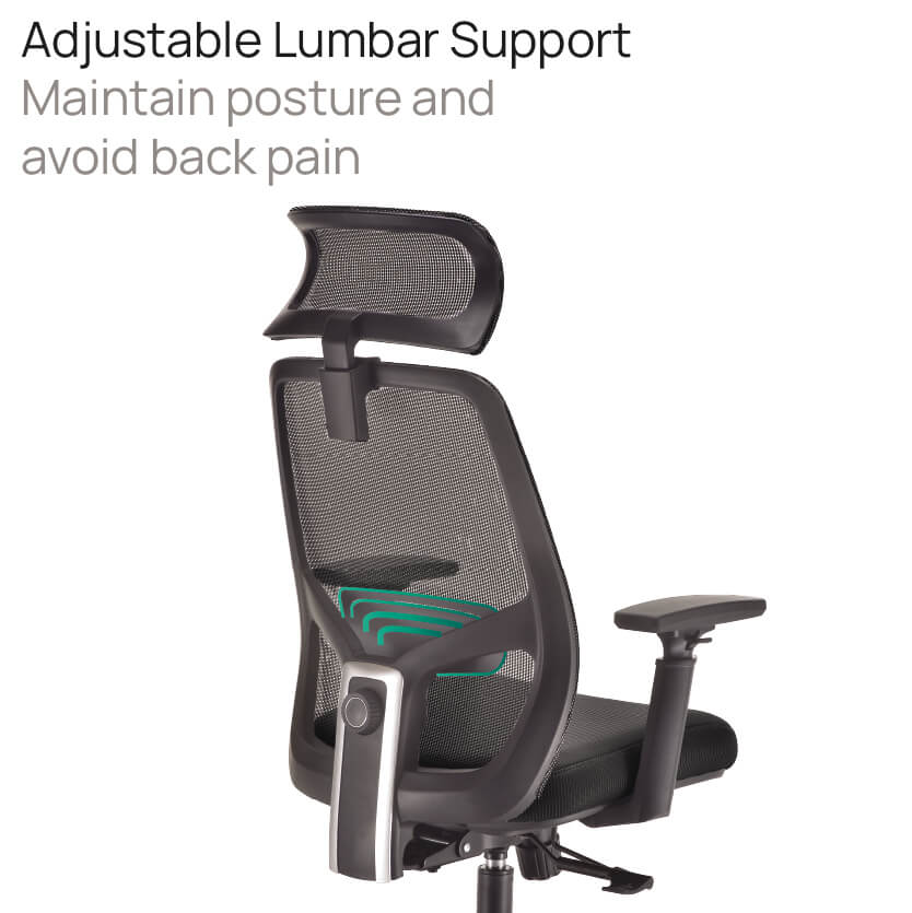Product Highlights