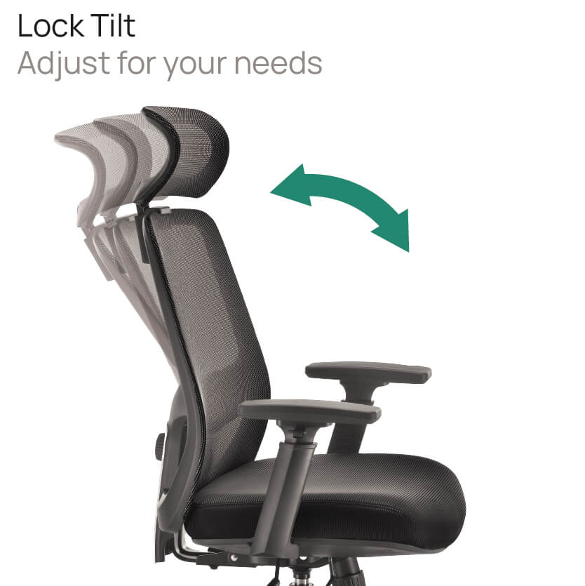 Product Highlights
