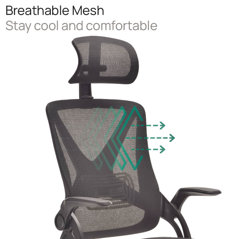 Product Highlights