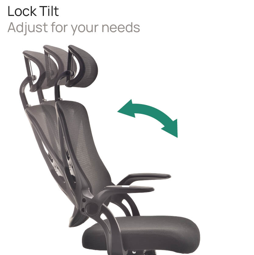 Product Highlights