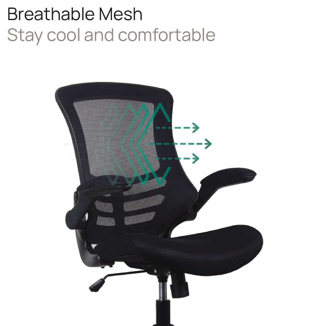 Product Highlights