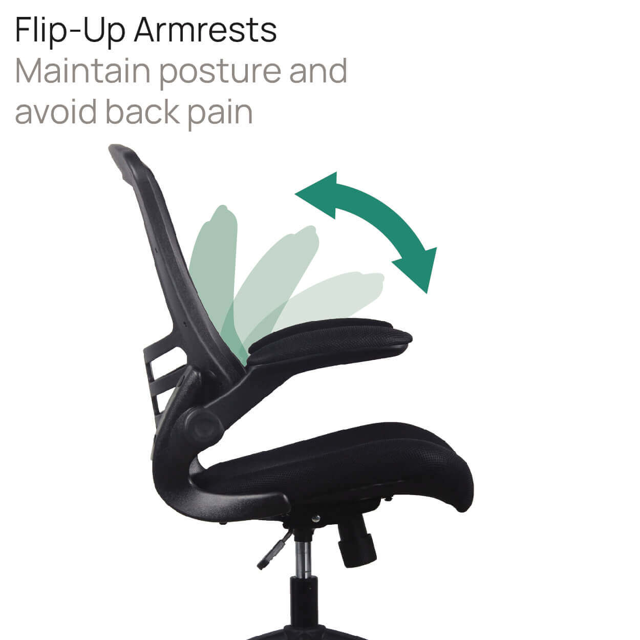 Product Highlights