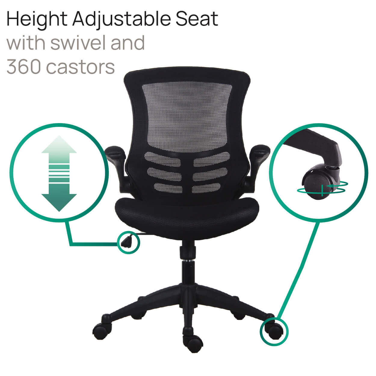 Product Highlights