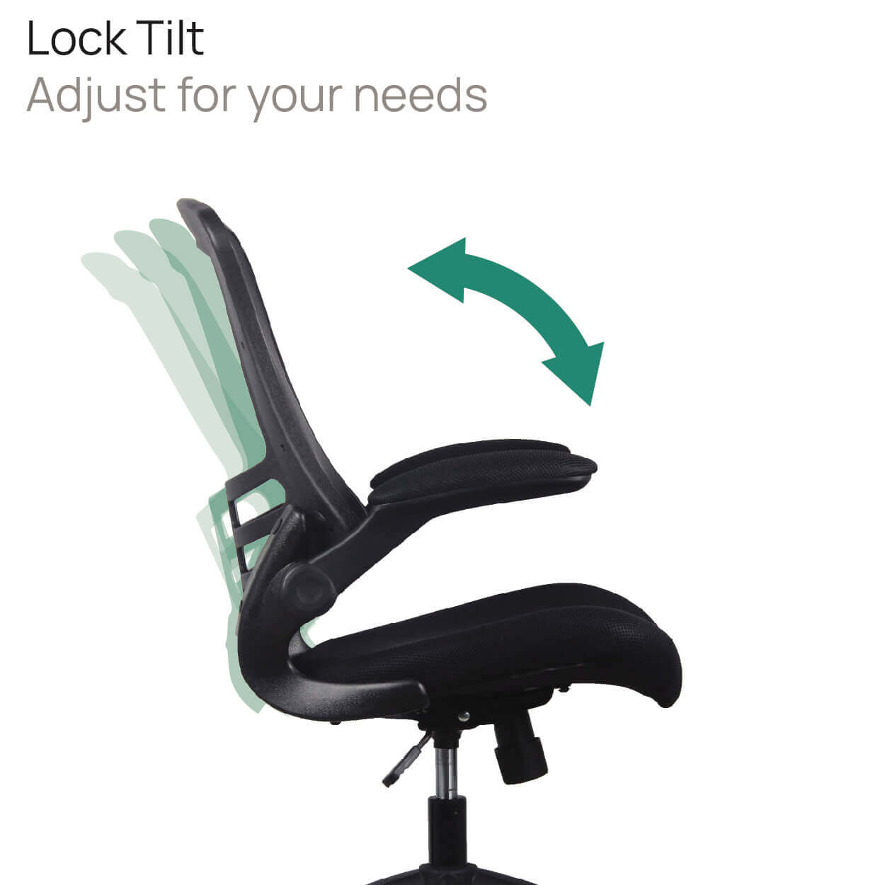 Product Highlights