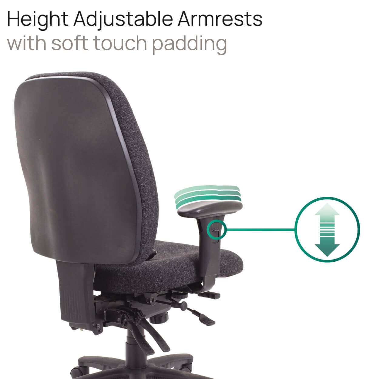 Product Highlights
