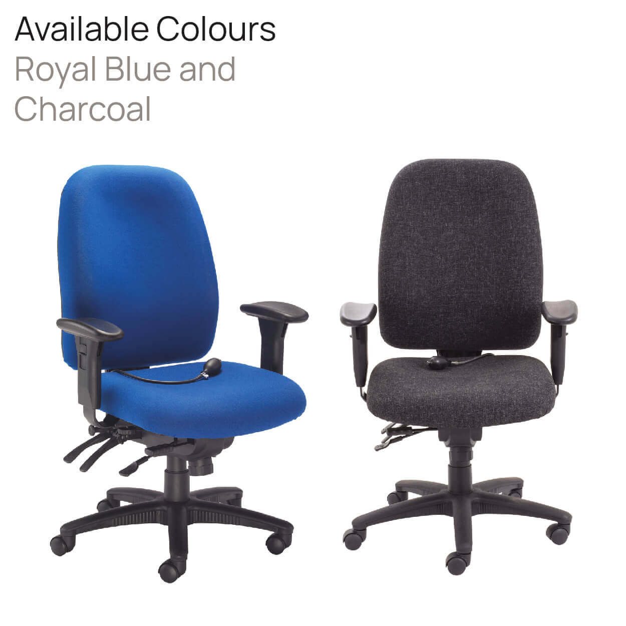 Product Highlights