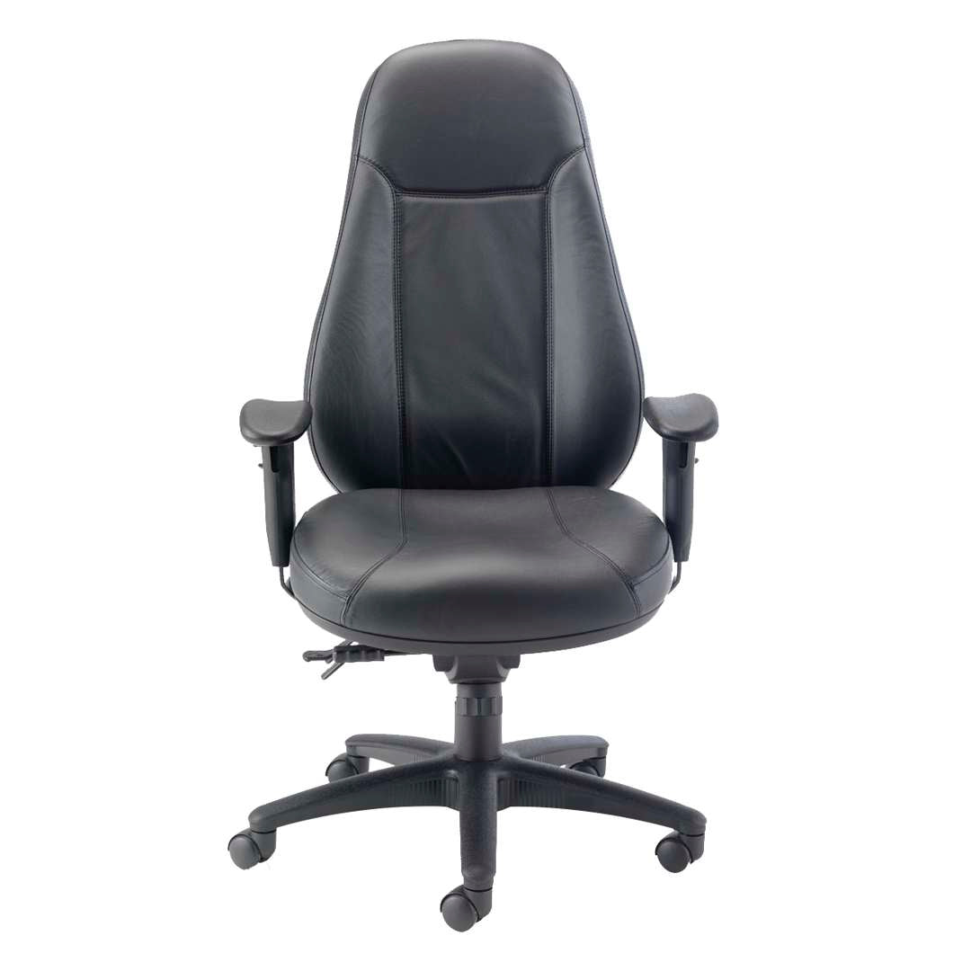 Cheetah Office Chair