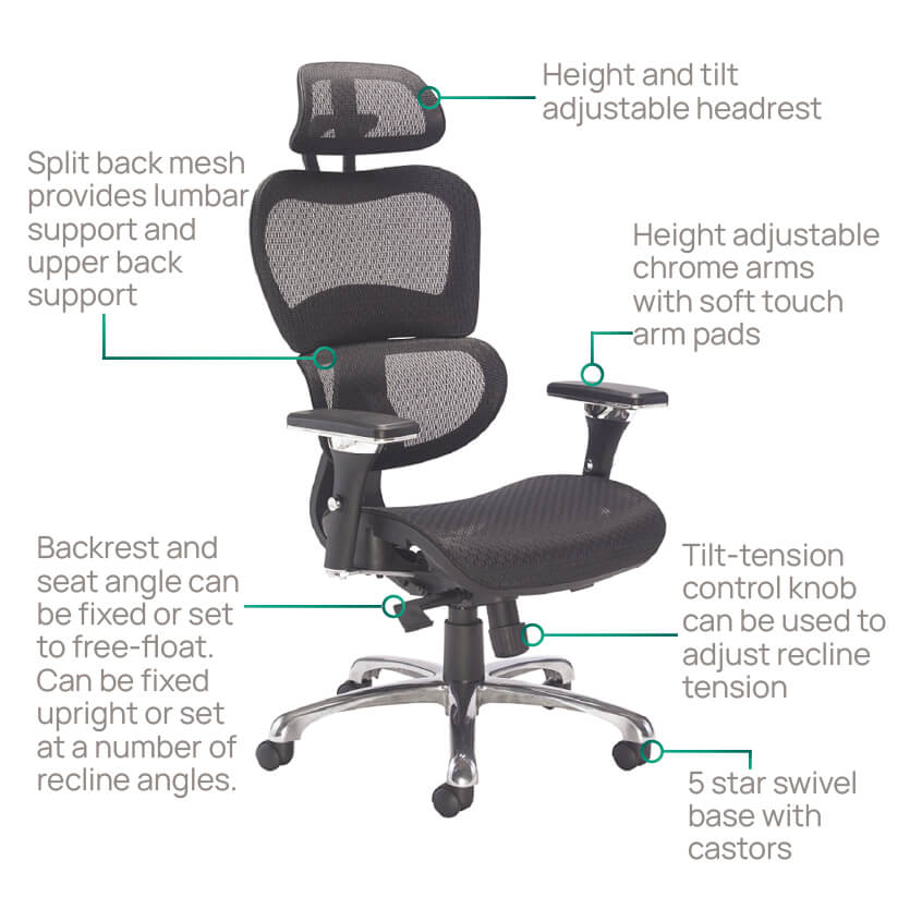 Product Highlights