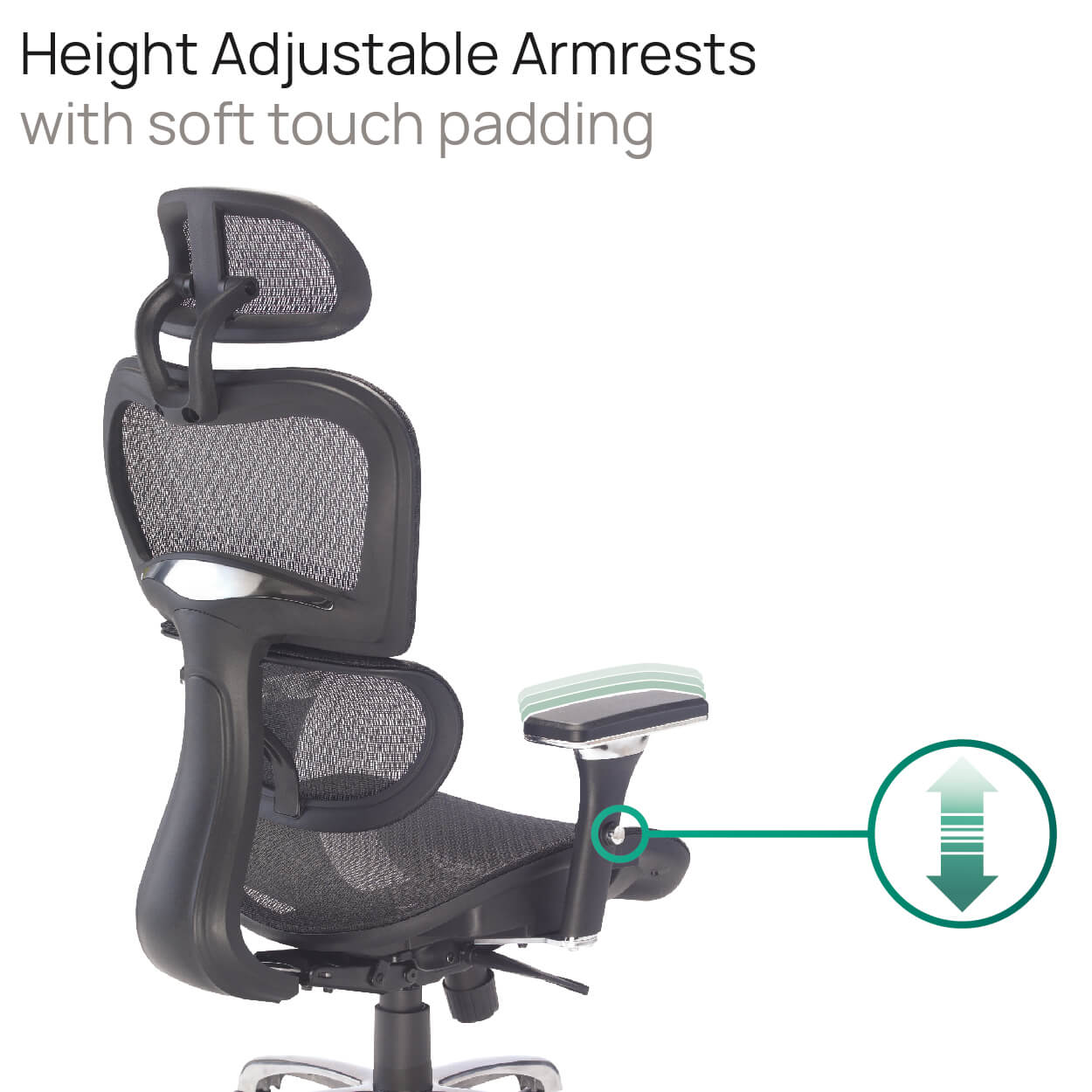 Product Highlights