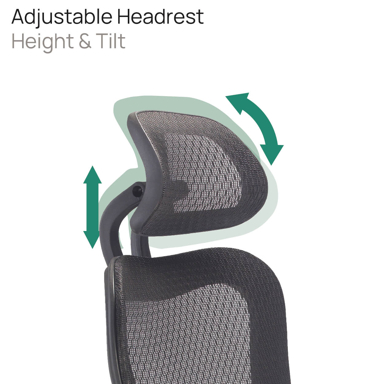 Product Highlights