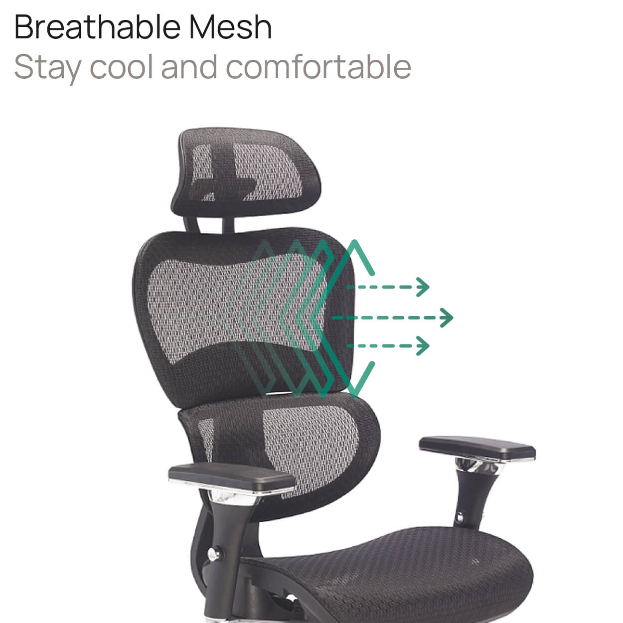 Product Highlights