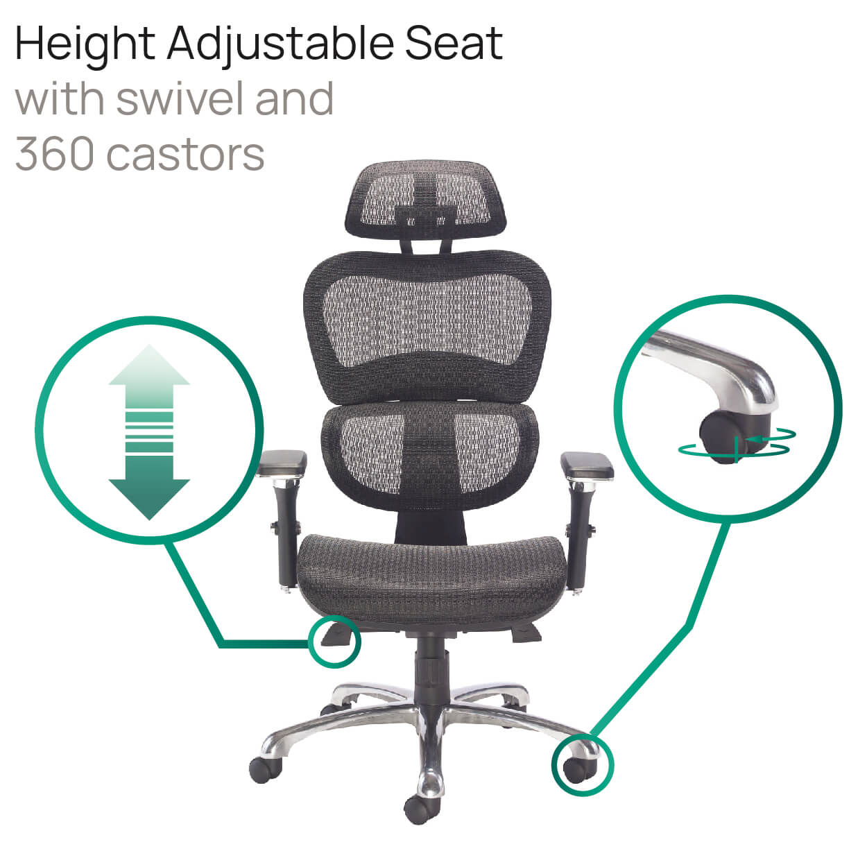 Product Highlights