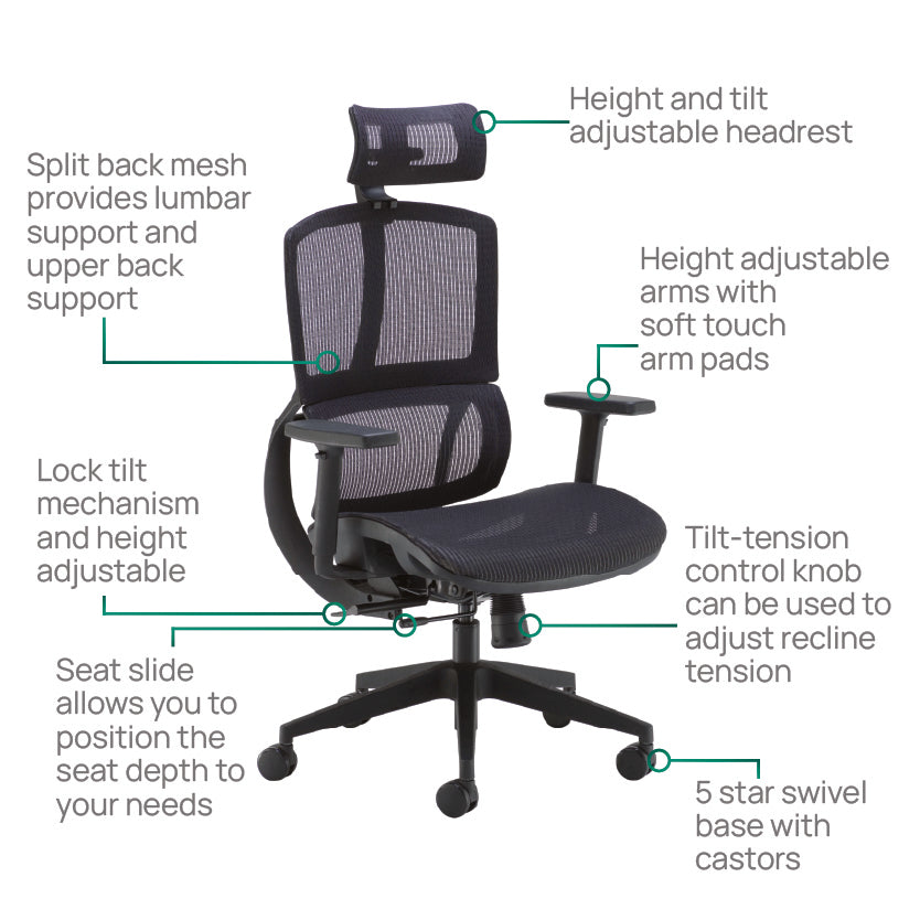 Product Highlights