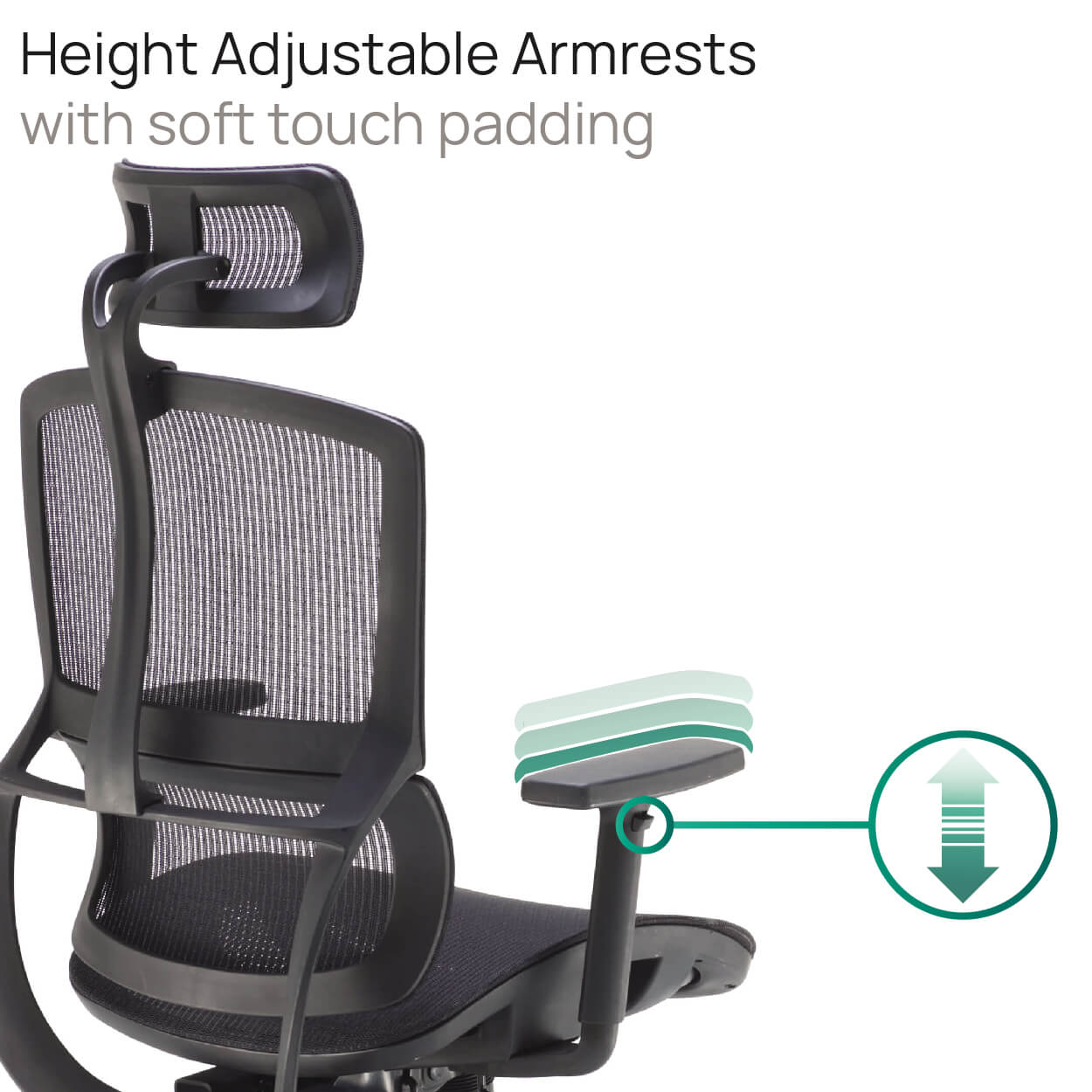Product Highlights
