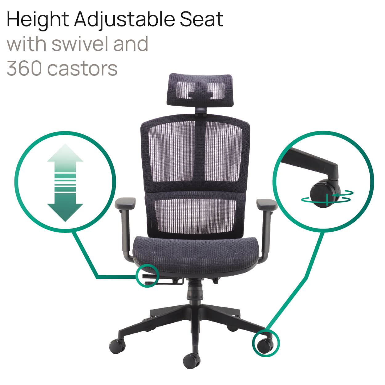 Product Highlights