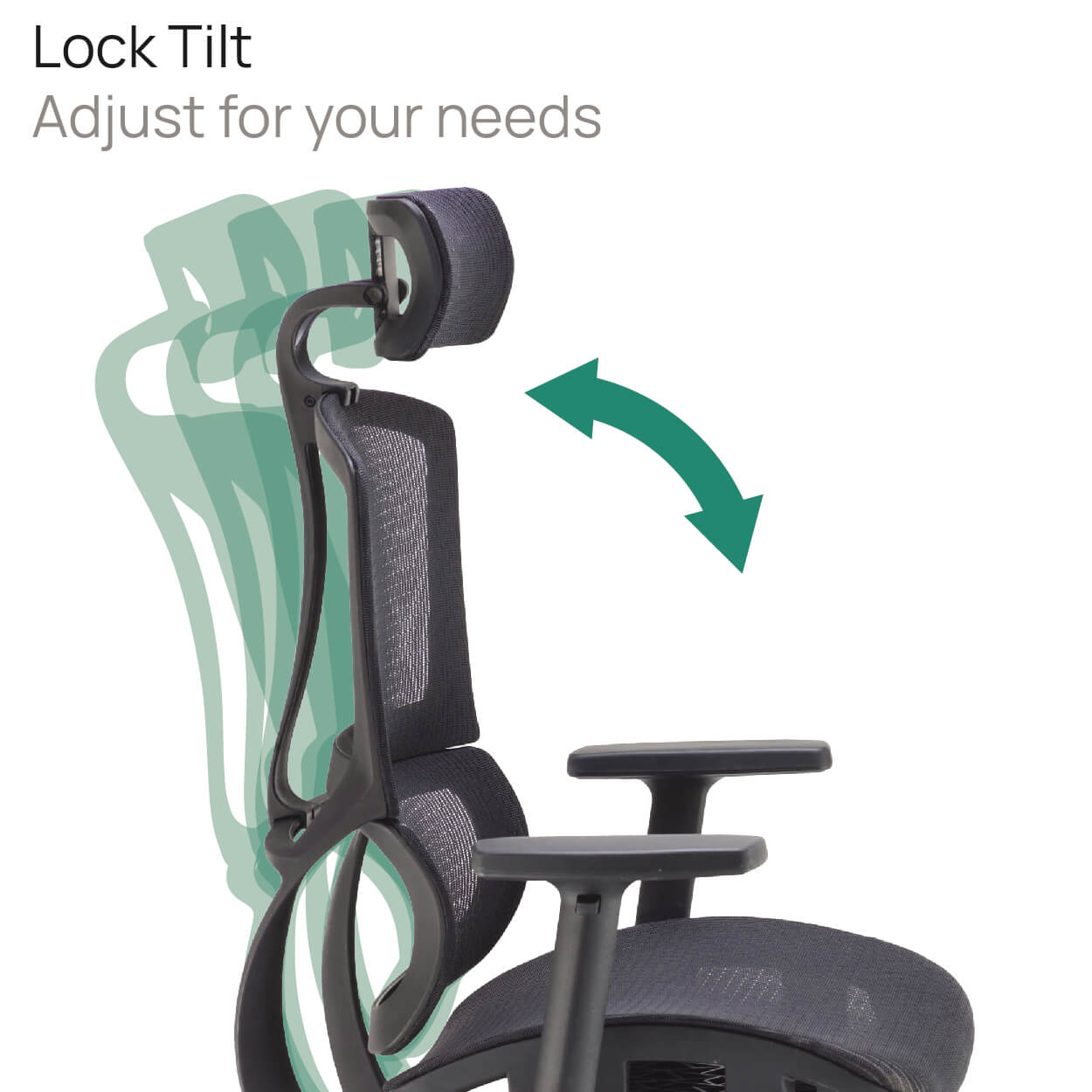 Product Highlights