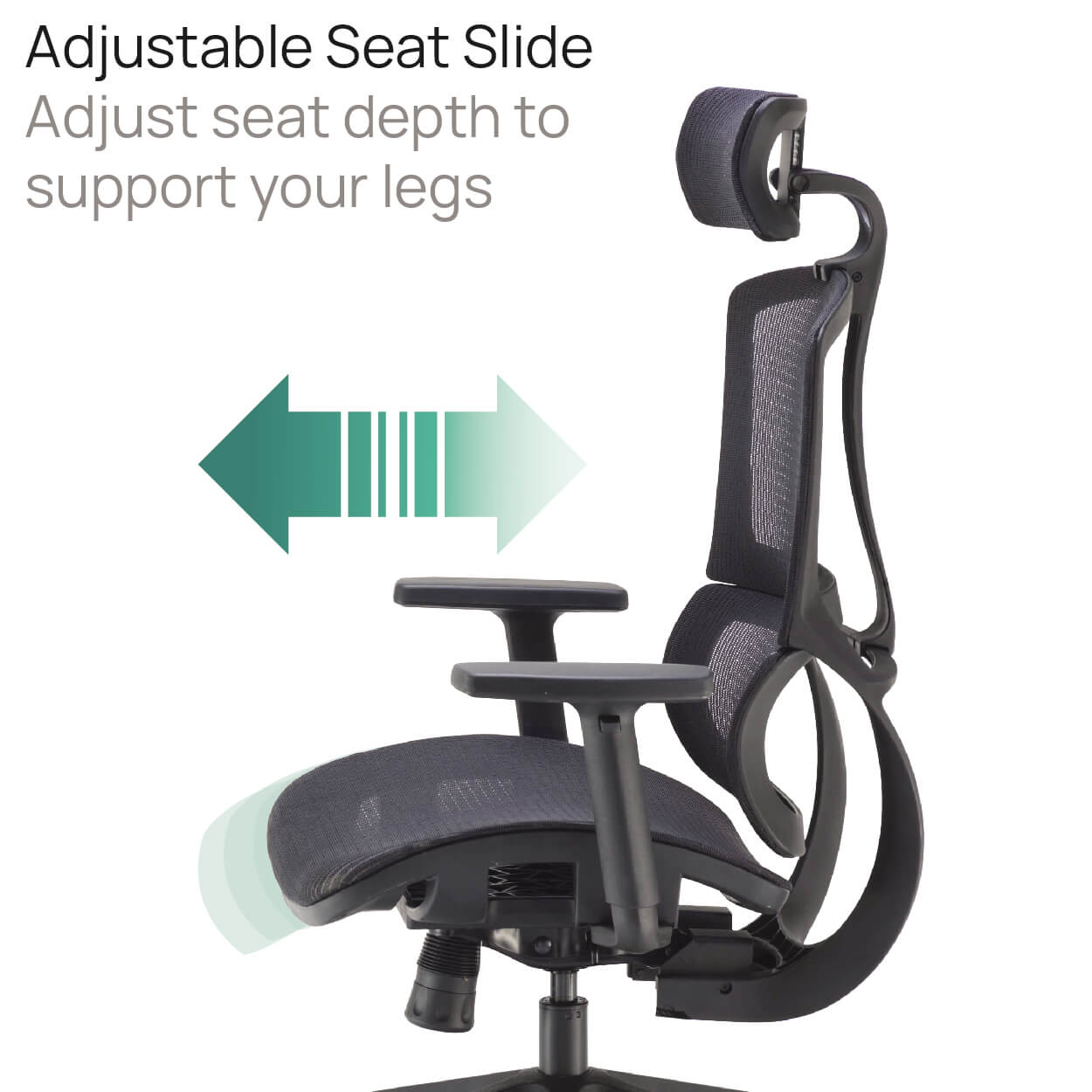 Product Highlights