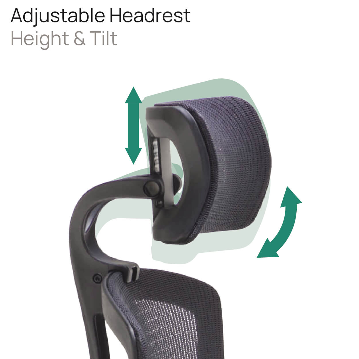 Product Highlights