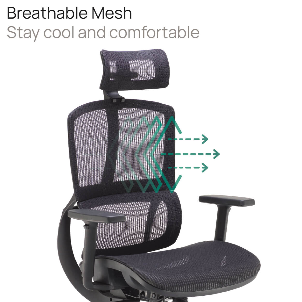 Product Highlights