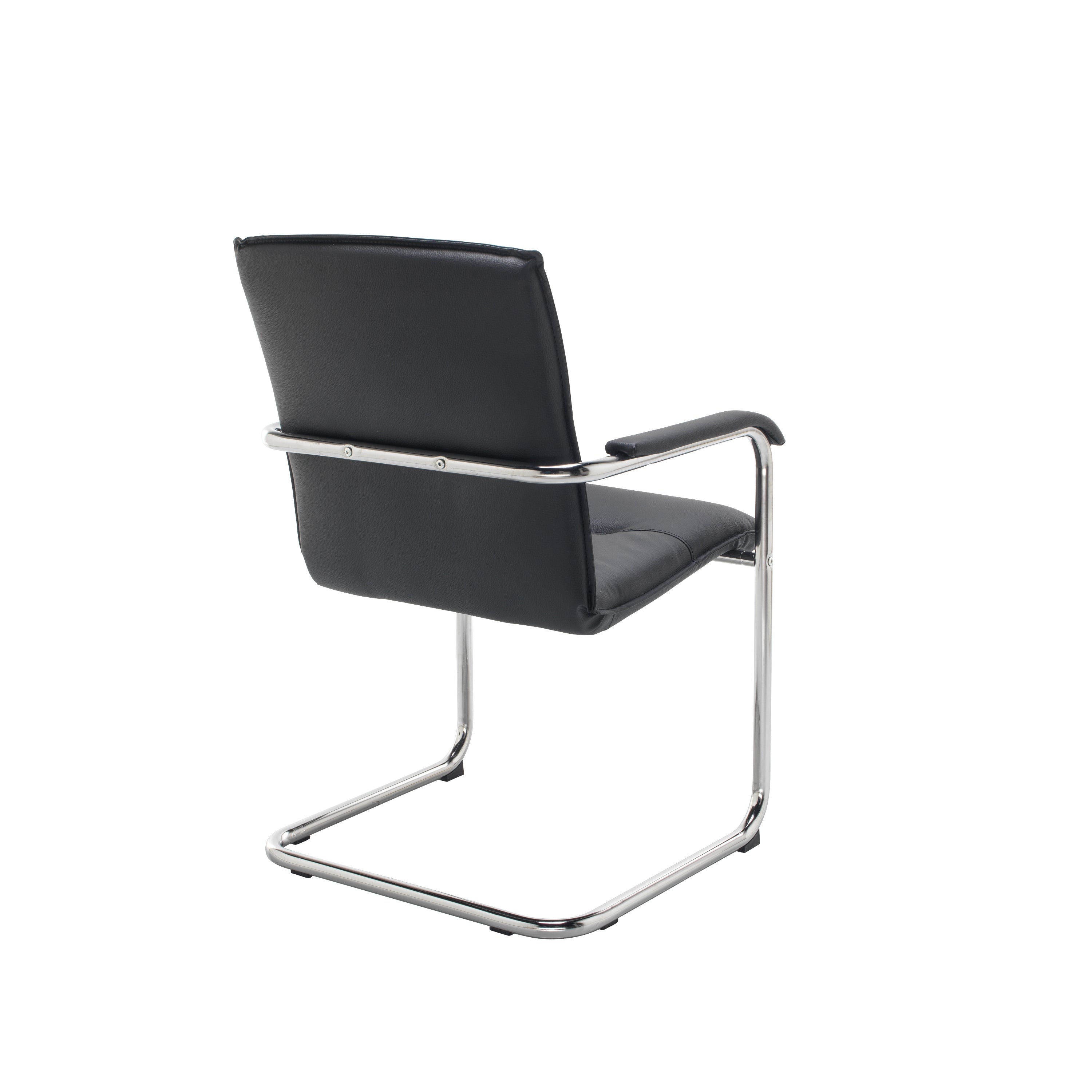 Pavia Meeting Chair