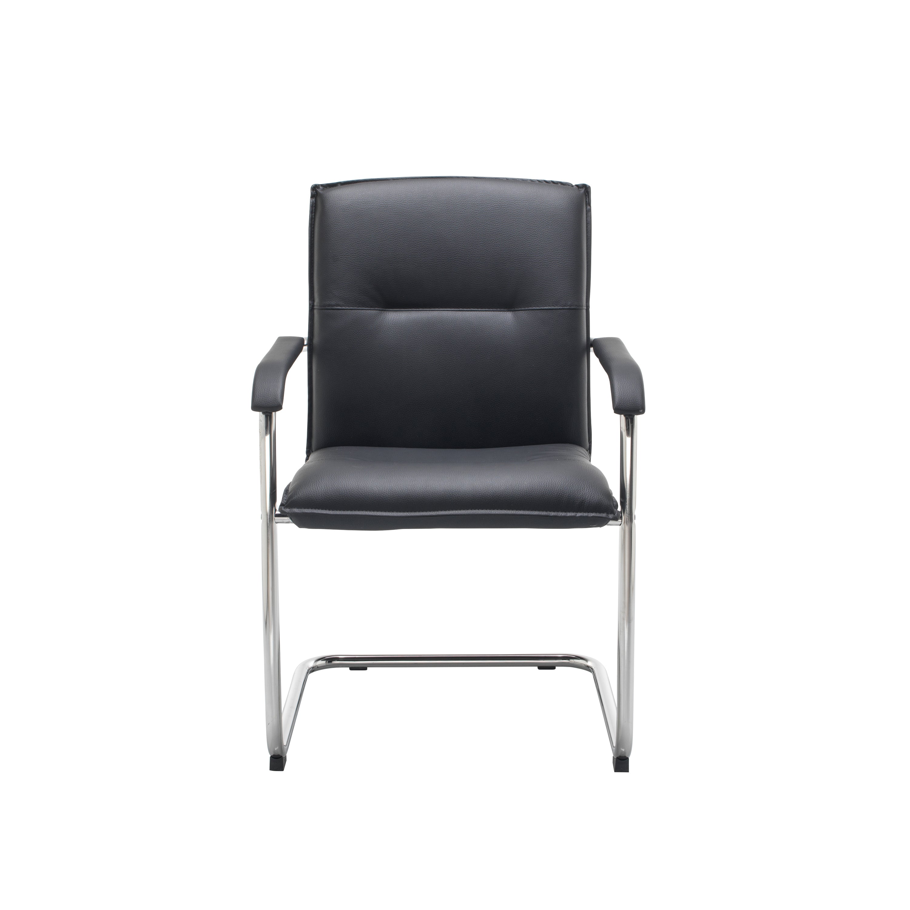 Pavia Meeting Chair
