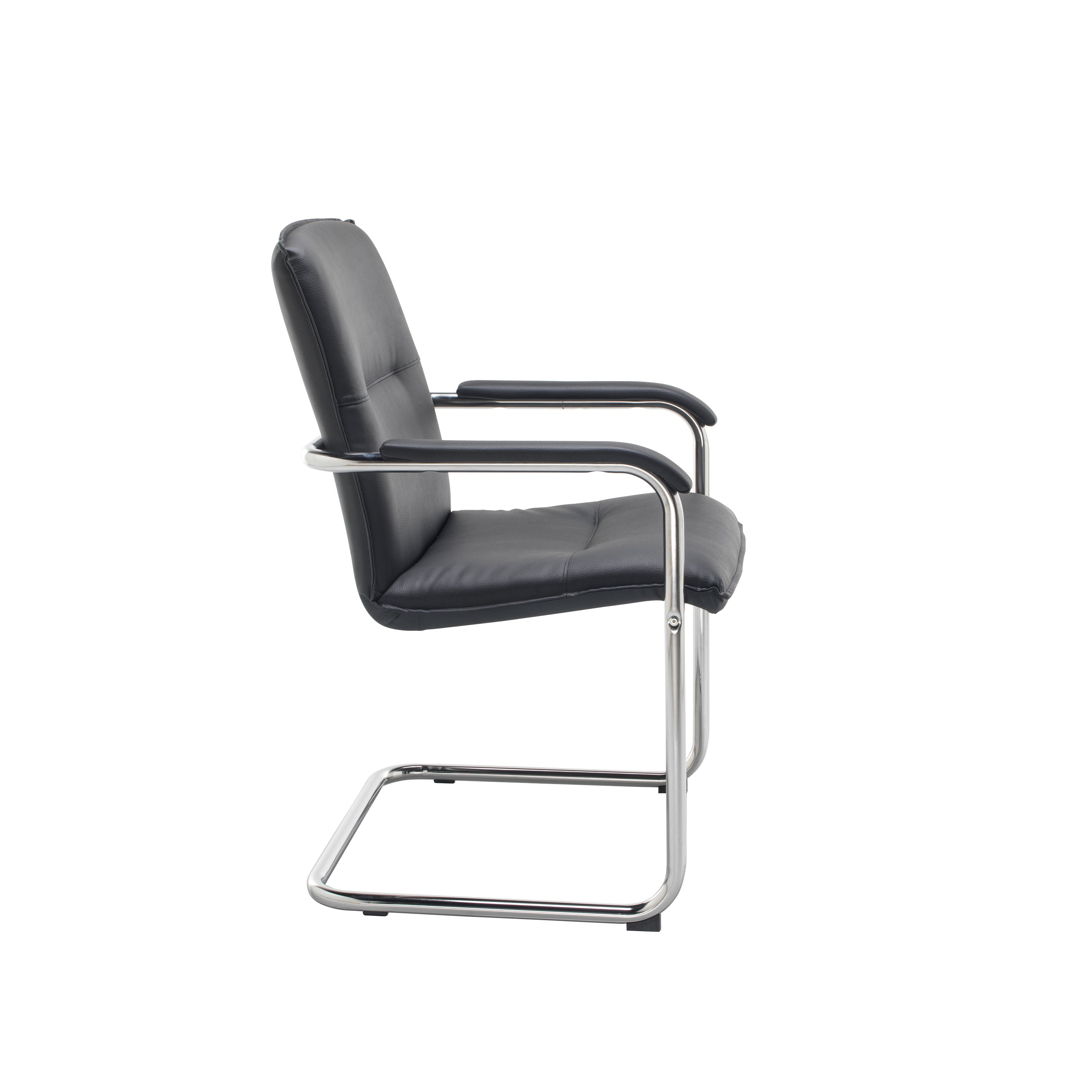 Pavia Meeting Chair
