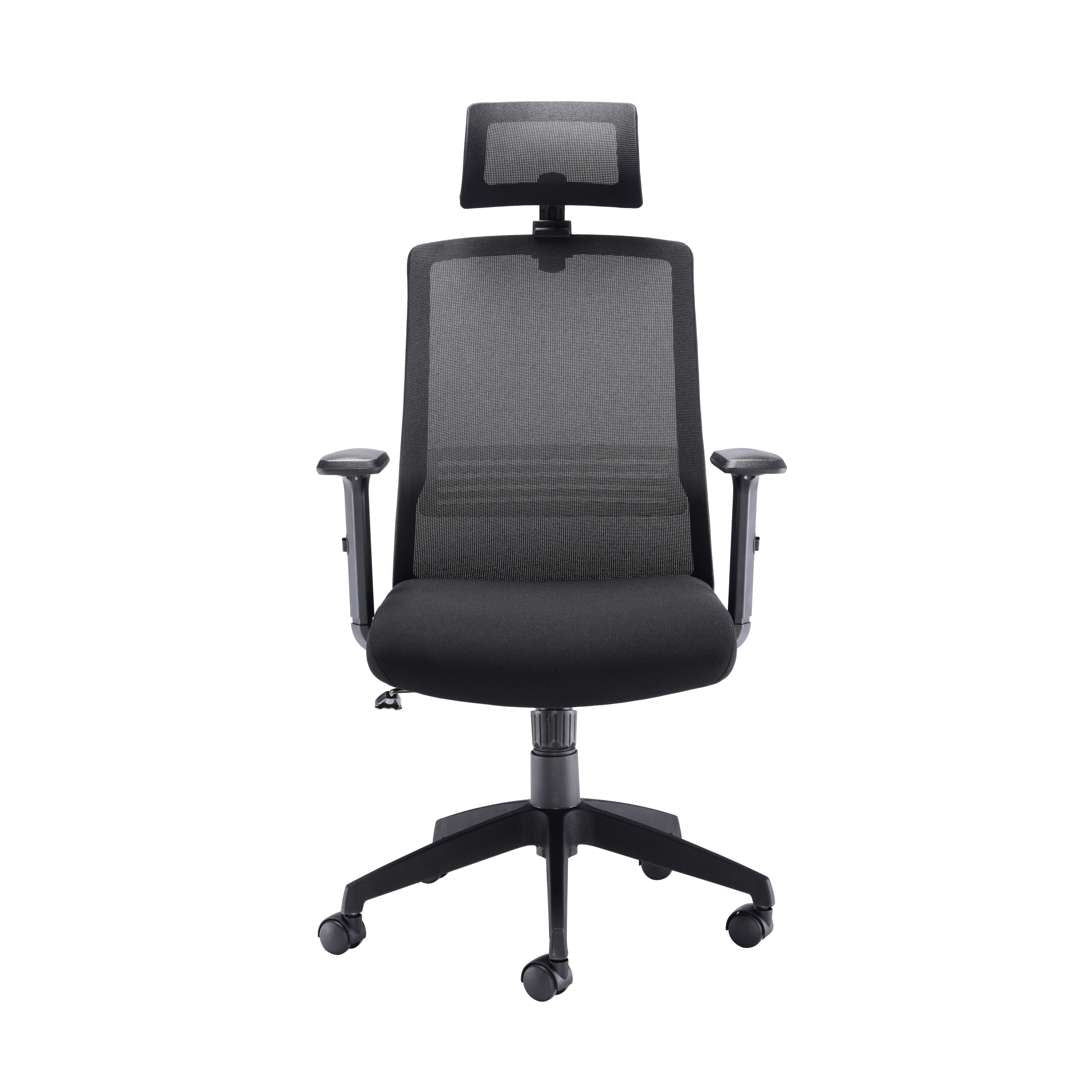 Denali High-Back Office Chair with Headrest