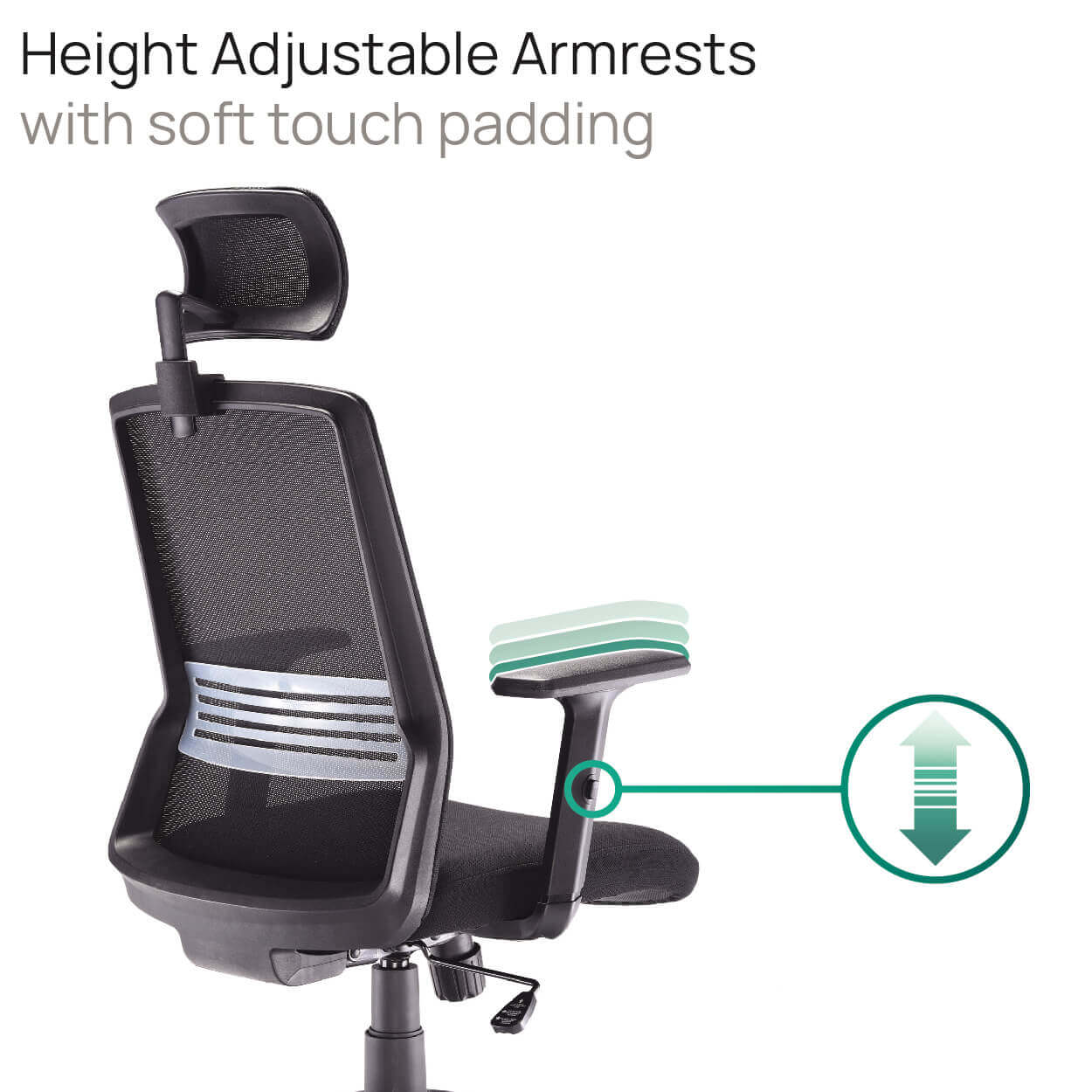 Product Highlights
