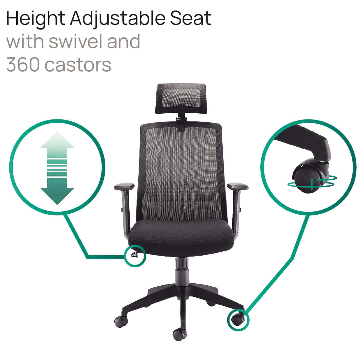 Product Highlights