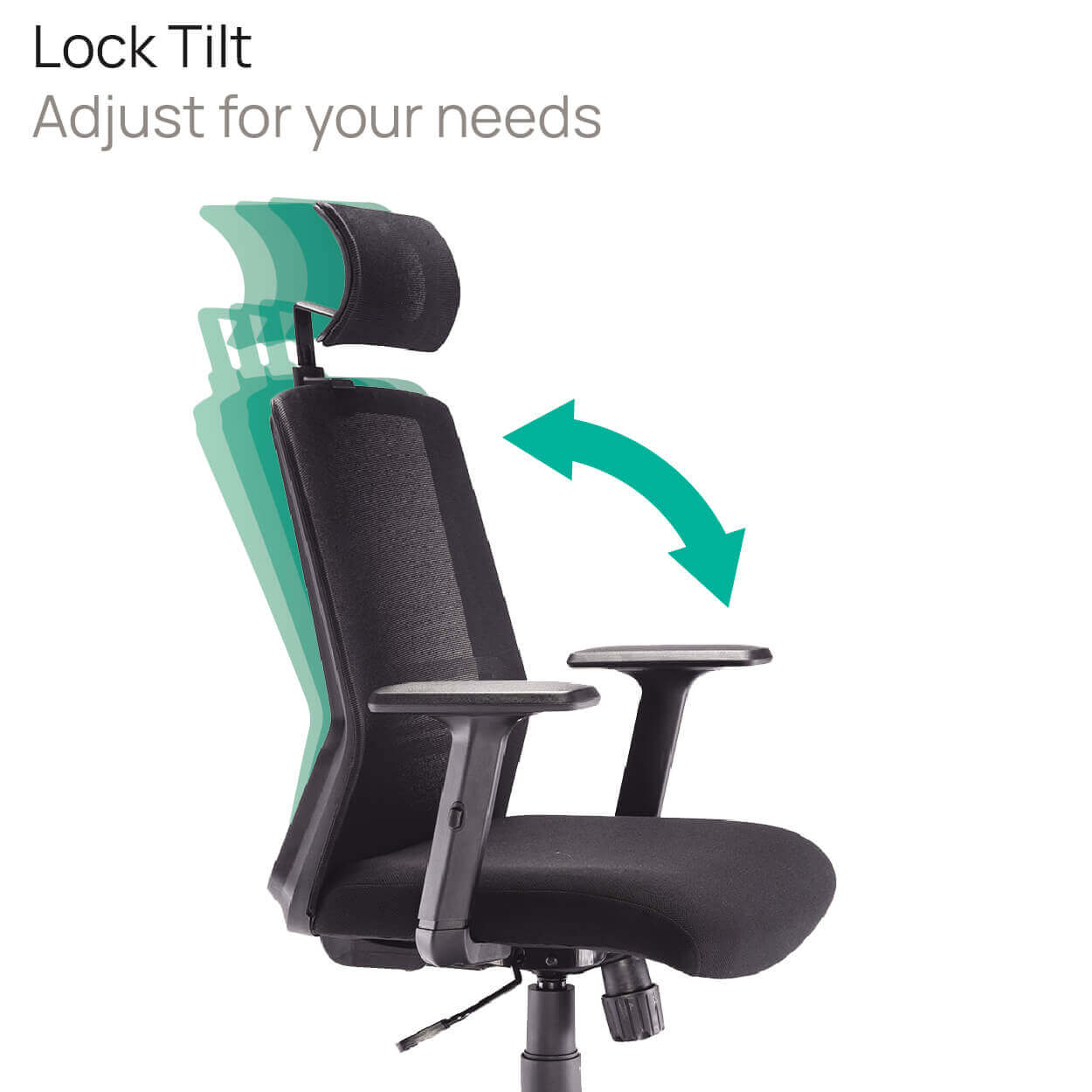 Product Highlights