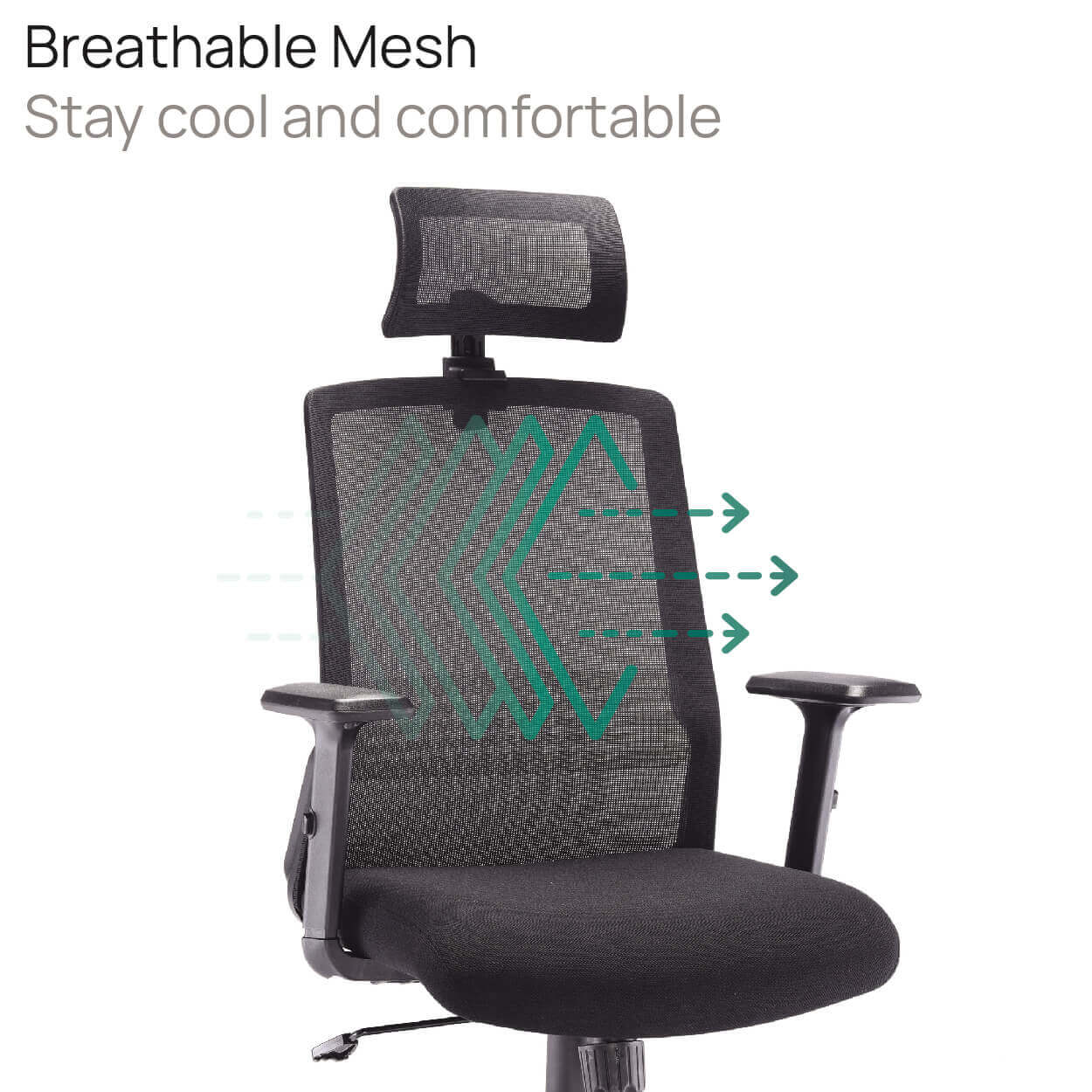 Product Highlights