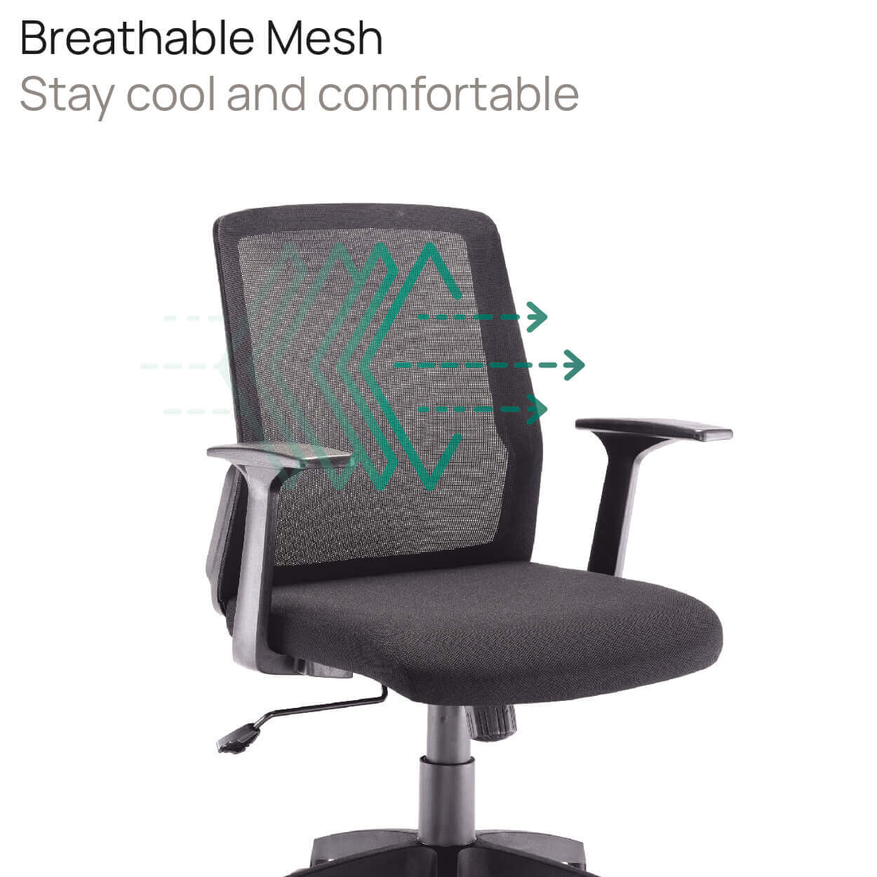 Product Highlights