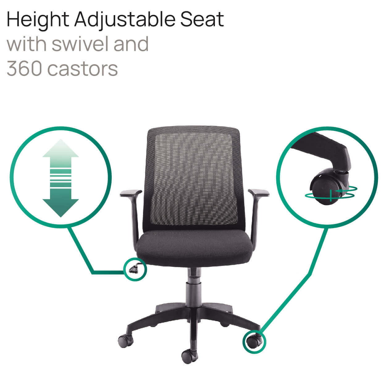 Product Highlights