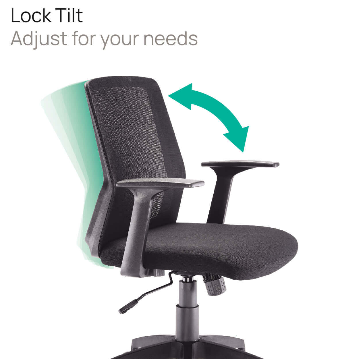 Product Highlights