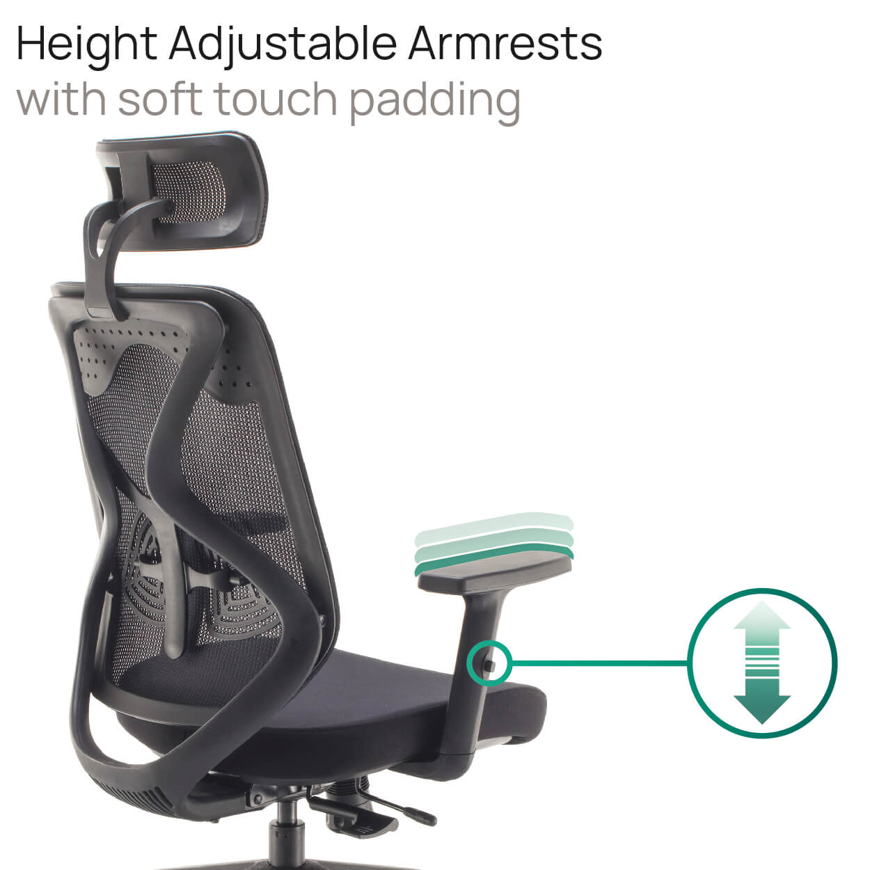 Product Highlights