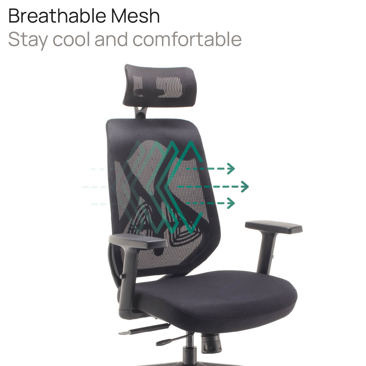 Product Highlights