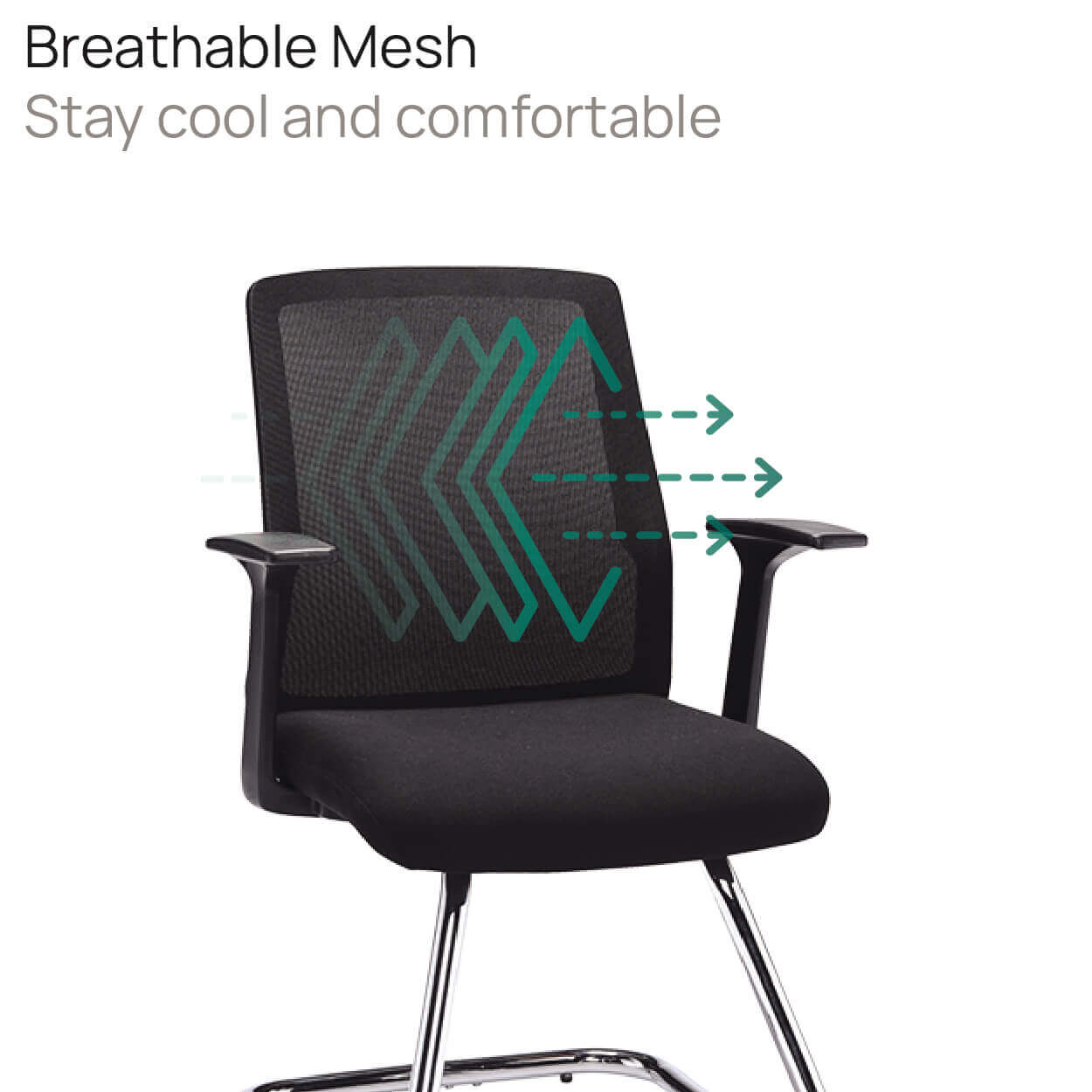 Product Highlights