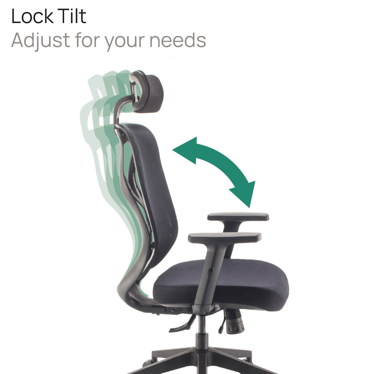 Product Highlights