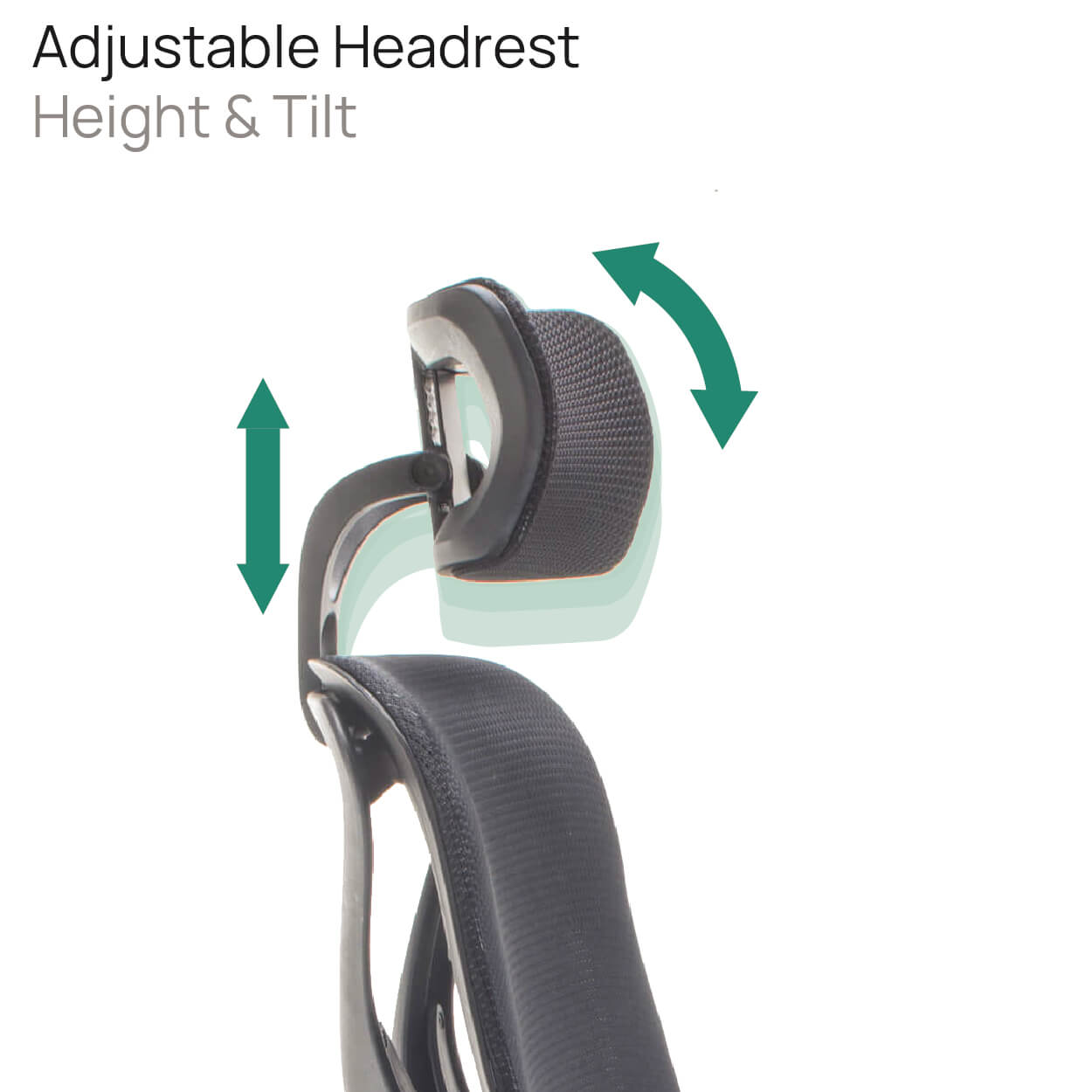 Product Highlights