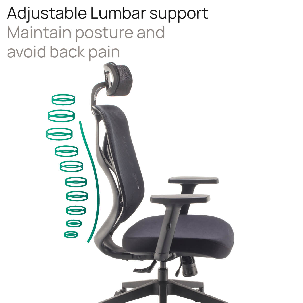 Product Highlights